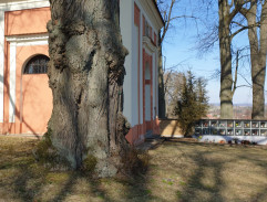 Vilém Nekolný na hřbitově