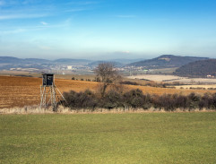 Vyjížďka na koních