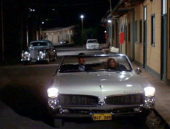 Hezký charakterní Ital v Austrálii hledá krajanku za účelem sňatku