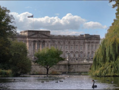 Před Buckingham palace