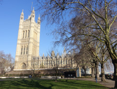 James Whitehouse s novináři