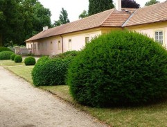 To horké léto v Marienbadu