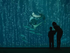 Jane se Ziggym u akvaria