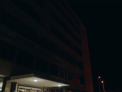 Národná transfúzna organizácia