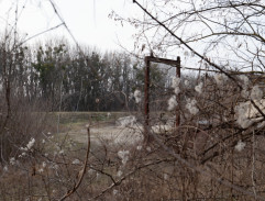 nájomný vrah na štrkovisku