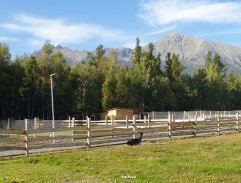 Láska hory přenáší