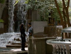 Roya hovoří s mužem