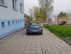 8. Případ neznámé ženy