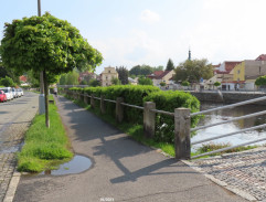 7. Nešťastný vrah