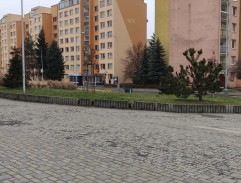 zasazení kytky u stanice metra 3