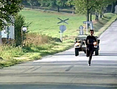 Fanda běží na pilu