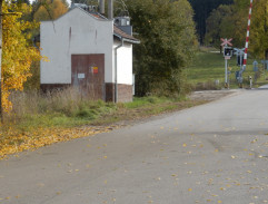 Fanda běží na pilu