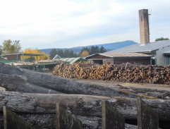 Indián a sestřička