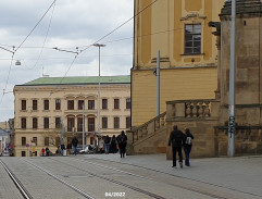 Daniela Horynová na ulici