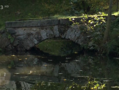 Můstek v zámeckém parku