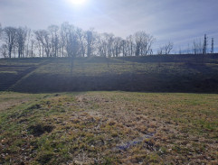 Rozhovor cestou k soše moai