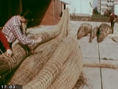 Stavba replik indiánských člunů