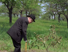 4. Letní přeháňka