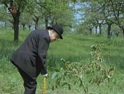 4. Letní přeháňka