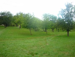 4. Letní přeháňka