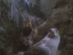 východ do sveta ľudí