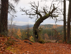 Na západní frontě klid