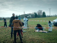 2. Úlet nebo normálka?