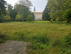 Zámek krále Leopolda