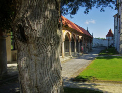 Houpačka v zámecké zahradě