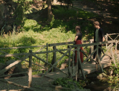 Dřevěný most v parku