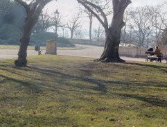 Rapl a Agáta v parku