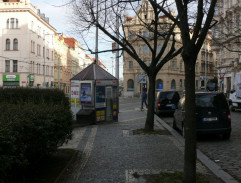 Dospělá Margo jde po chodníku