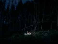 Simona se probouzí v lese