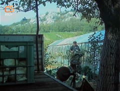 Zelinářská zahrada