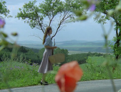 18. Poslední odvolání