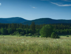 Soumarské rašeliniště