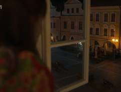 Vlasta Hajná v okně