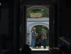 11. Zelená horečka