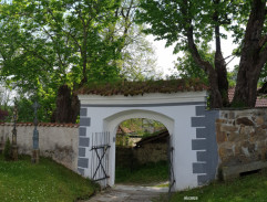 11. Zelená horečka