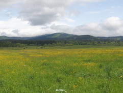 Soumarské rašeliniště