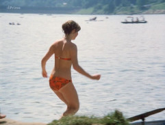 Kopretiny pro zámeckou paní