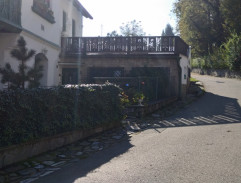 Kopretiny pro zámeckou paní