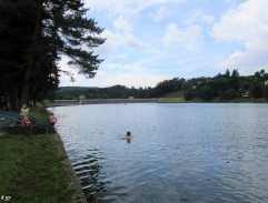 Kopretiny pro zámeckou paní