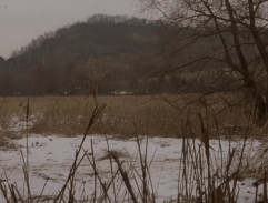 Louka s ostřelovačem