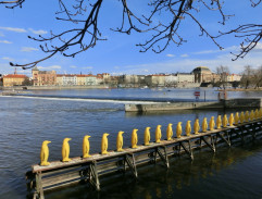 Lavička v parku v Curychu