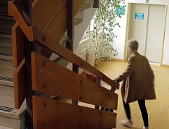 Kam motýli nelétají