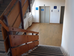 Kam motýli nelétají