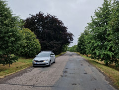 Auta s Dostálem projíždí alejí