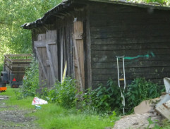 Galba s Grundzou starším