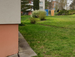 Malý velký hokejista